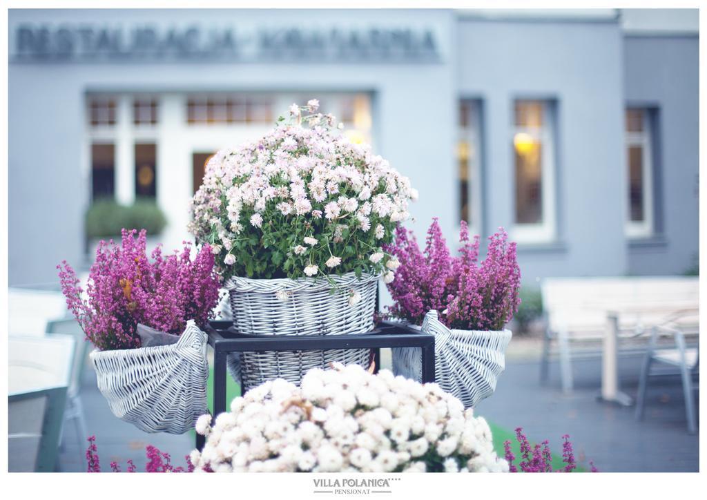Villa Polanica Ngoại thất bức ảnh